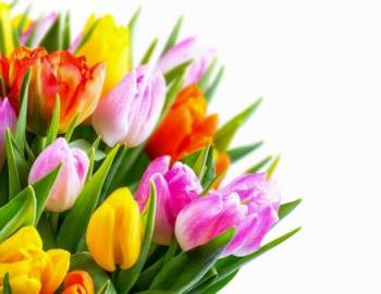 Życzenia z okazji Światowego Dnia Radiologii 